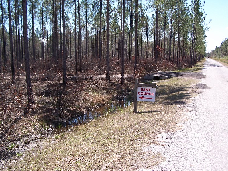 2010 03 20_0910.JPG